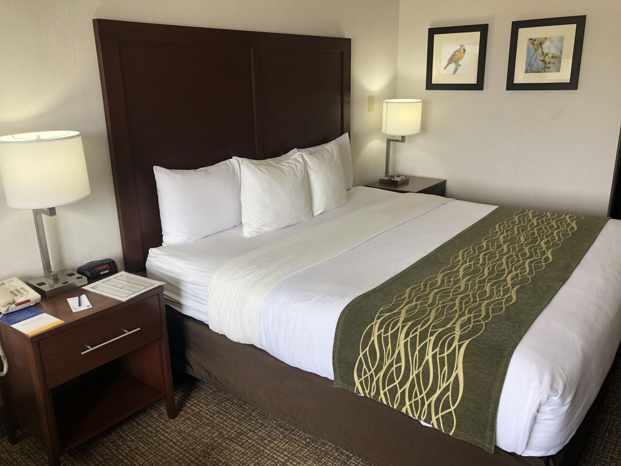 Comfort Inn Grand Island North Eksteriør billede
